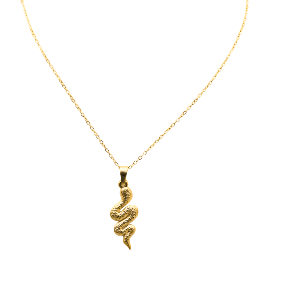 Collier serpent doré en acier inoxydable porté – Mitsury Collier serpent doré en acier inoxydable porté – Mitsury